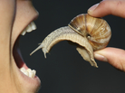 mouth about to eat a snail mouth about to eat a snail
